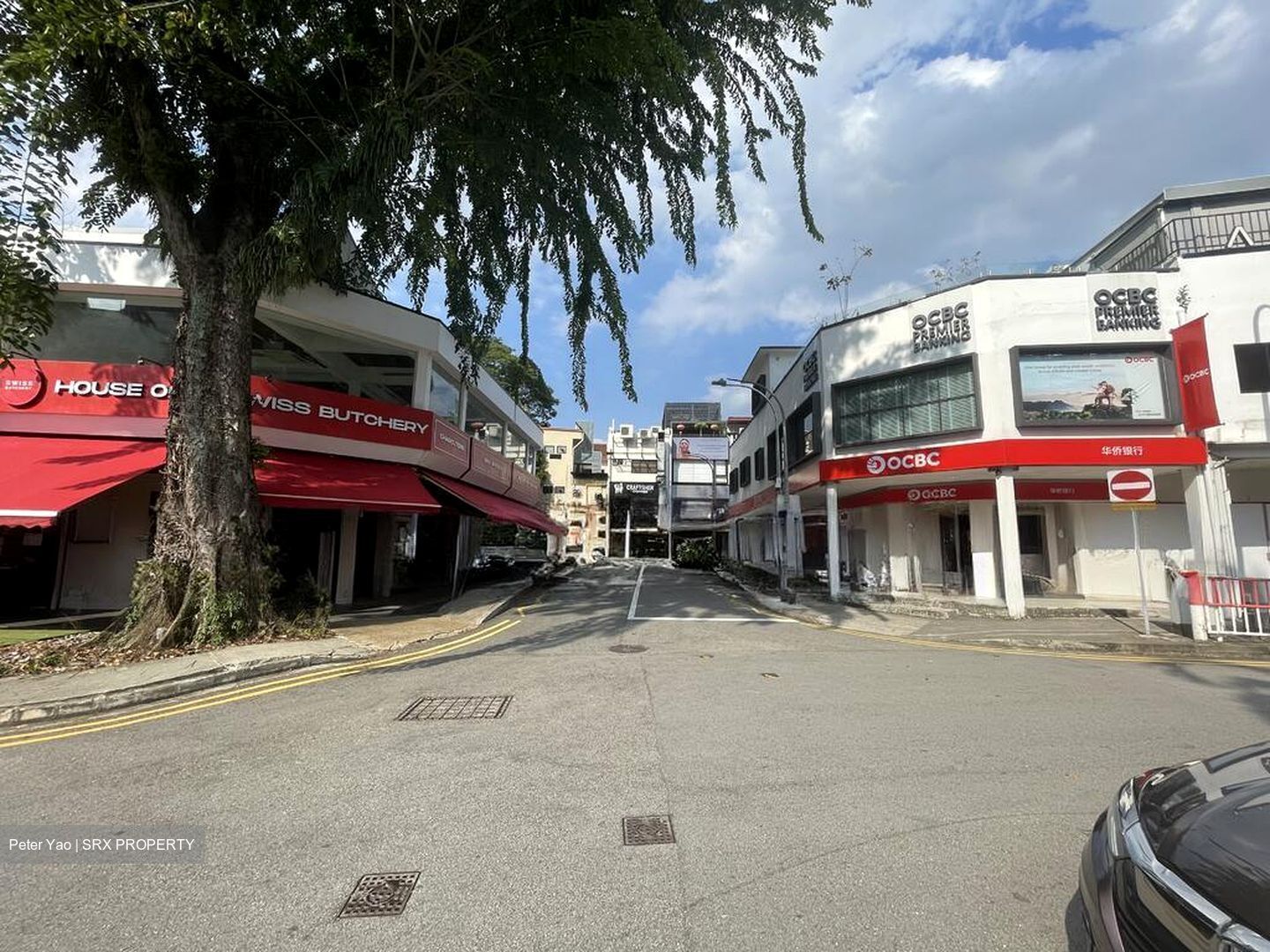 Jade Mansion (D10), Shop House #497162321